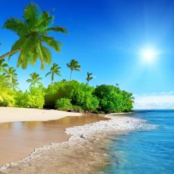 Summer Clearance Save 45%!