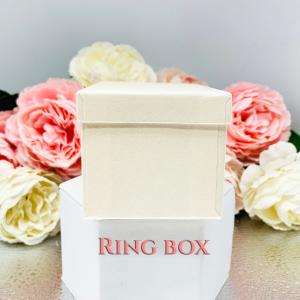 Ring Gift Presentation Box - Shimmer champagne color - Includes ivory color outer box