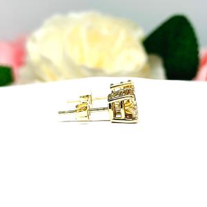 Champagne Moissanite 14k Gold Stud Earrings - 6.5mm, 7mm round authentic stones