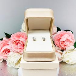 Earrings Gift Presentation Box - Shimmer champagne color - Includes ivory color outer box