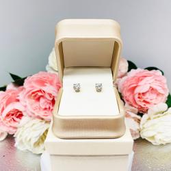 Earrings Gift Presentation Box